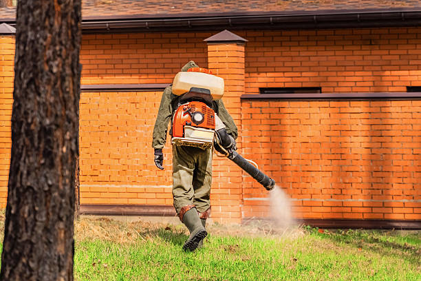 Bed Bug Clearance Verification and Documentation in Seven Hills